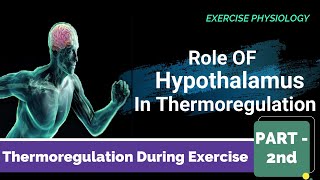 Role of Hypothalamus Environmental Influence on Human Physiology under Exercise Part ll UGC NET PE [upl. by Ekim]