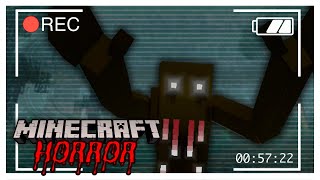 I Played Minecrafts SCARIEST Mod Pack amp Heres What Happened [upl. by Anyaj870]