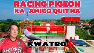 EP777  KA AMIGO GOODBYE RACING PIGEON NA BA [upl. by Einegue]