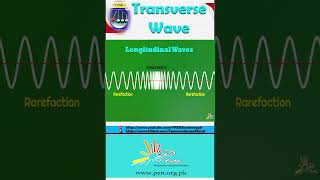 Example of Transverse wave I Transverse wave I Physics I physics learning penacademy [upl. by Nabal576]