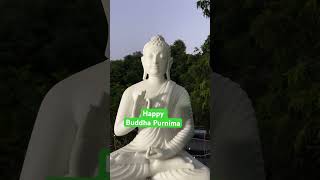 Buddha Purnima buddhapurnima  2024 buddhapurnimastatus shorts rajeshallahabadi [upl. by Nertie777]