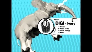 Digi  Ivory Original Mix [upl. by Nilkoorb]