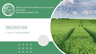 Муниципальный этап 2022–2023 учг Экология 11 класс Разбор заданий [upl. by Lemuela757]