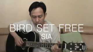 Sia  Bird Set Free Fingerstyle Guitar Cover  TABs [upl. by Paige857]