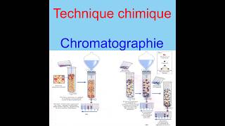 la chromatographie dexclusion [upl. by Idnar]