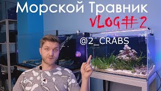 Морской травник VLOG2 [upl. by Fadil]