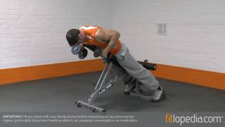 Incline Prone Dumbbell Kickbacks [upl. by Enida]