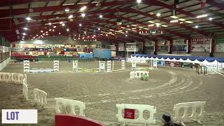 Performance Sale Cavan Equestrian Centre [upl. by Adur]