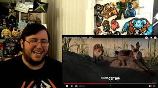 Gors quotWatership Down 2018quot Trailer REACTION [upl. by Kimura369]