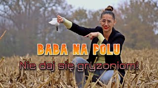 Polna Plaga Jak Gryzonie Niszczą Twoje Uprawy I Co Możesz Z Tym Zrobić [upl. by Aynahs715]