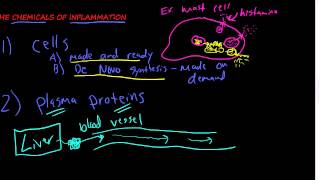 Acute Inflammation  Definition Pathogenesis Causes Mediators Morphology Exudate and Transudate [upl. by Teodor992]