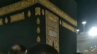 উমরাহ হজ kaba sharif [upl. by Nnylyrehc]