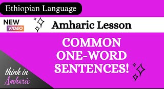 Learn Amharic  OneWord Amharic Sentences Part 1  Ethiopian Language Amharic Phrases 4 Beginners [upl. by Javed]