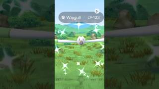 ✨From The Wingull to The Wall✨🤣 Pokémon GO [upl. by Sholeen]