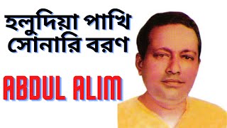 Holudia pakhi sonari boron  হলুদিয়া পাখি  ABDUL ALIM [upl. by Alehtse]