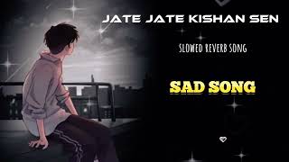 jate jate SLOWED REVERB LOFI SONGKishan sen deepmusiccgRajshreeMusicCg [upl. by Giefer]