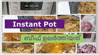 Instant Pot Beef Ularthiyathu [upl. by Merilyn762]