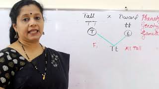 CLASS10 HEREDITY  MALAYALAM SINGLE VIDEO [upl. by Prud]