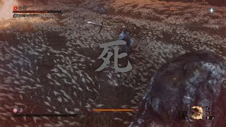 Sekiro Shadows Die Twice Final Boss [upl. by Daly]