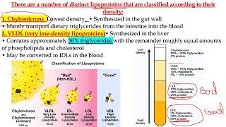 LECTURE 7 Diseases of the vascular system [upl. by Fanni]