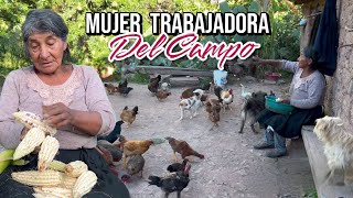 Así vive una mujer trabajadora del campo⛏️🥔🥣🐑🐓🐦🍲🌳🐄 [upl. by Allicserp782]