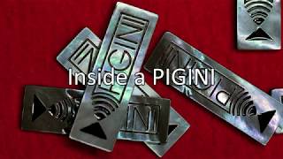 Inside a Pigini Accordion [upl. by Mears867]