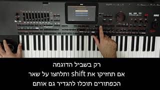 איך להגדיר רבע טון ב assignable switch ב KORG PA4X [upl. by Kaiser]