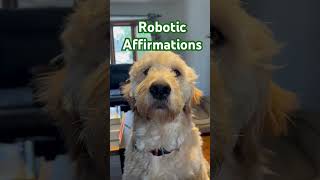 Robotic Affirmations reprogram your mind for success roboticaffirmations manifestation manifest [upl. by Furgeson]