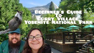 Beginners Guide to Curry Village Yosemite National Park  Tips from a local [upl. by Aikemet]