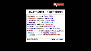 Anatomical Directional Terms [upl. by Naitsirhc]