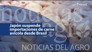 🔴 Japón suspende importaciones de carne avícola desde Brasil [upl. by Bunting]