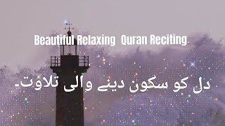 Relaxing Quran Reciting  Dil ko Sukoon dene Wali Tilawat  Abdul Rahman Mossad  Surah Sajdah [upl. by Francklin]