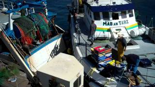 Retour de pêche Le Guilvinec Concarneau 29 [upl. by Larrisa]