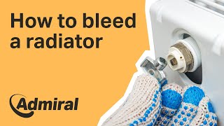 How to bleed a radiator  Admiral UK [upl. by Hayyifas]