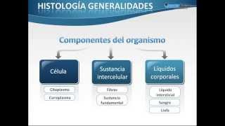 1 Histología Introducción [upl. by Cindie]