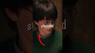 Harry Potters Illegally SMUGGLED A DRAGON shorts harrypotter sorcerersstone harrypotterfacts [upl. by Enimasaj]