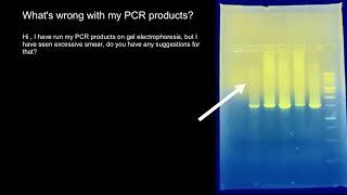 PCR and Gel Electrophoresis troubleshooting [upl. by West]