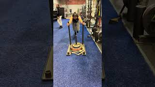 Sled Row to High Push to VMO Sled Drag [upl. by Sophi]