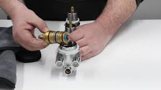 Thermostatic Valve Removal and Replacement  Insignia Shower [upl. by Rosol]