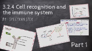 EASY REVISION AQA ALevel Biology 324 Cell recognition and the immune system PART 12 [upl. by Saibot]