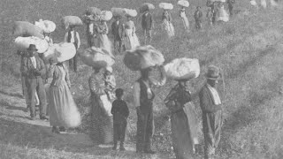 Vintage Photos of Alexander Knoxs Cotton Plantation Near Charleston South Carolina 1874 [upl. by Yarod970]