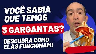 Você Sabia Que Temos 3 Gargantas Descubra Como Elas Funcionam [upl. by Otsuaf]