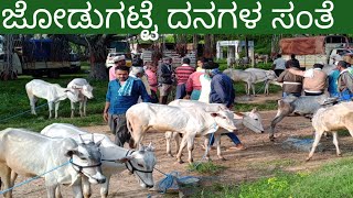 ಜೊಡುಗಟ್ಟೆ ದನಗಳ ಸಂತೆ ಪ್ರತಿ ಭಾನುವಾರ ತುರುವೇಕೆರೆ ತಾಲೂಕು ತುಮಕೂರು ಜಿಲ್ಲೆ [upl. by Neitsabes706]