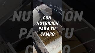 Nutrición de Cultivos FERTILIZANTES grupoguazzaronigreco [upl. by Lletram]