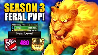 SEASON 3 IS HERE Feral Druid Is INSANE  102 PvP [upl. by Luce]