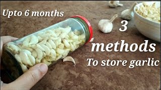 How to store peeled raw garlic for long time  KR 138 howtostoregarlic [upl. by Aneladdam]