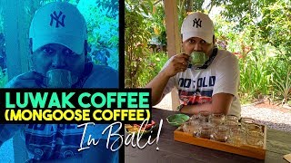 Luwak CoffeeMongoose Coffee in Bali [upl. by Azeria]