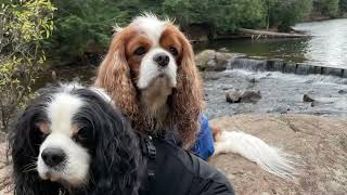 Hiking in Gatineau Park [upl. by Engen503]