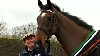 Nicky Henderson Cheltenham Festival Contenders 2020 [upl. by Ditter419]