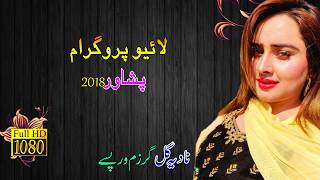 Nadia Gul New Live Song Full HD garzam warpase dera jara 2018 [upl. by Henrik]